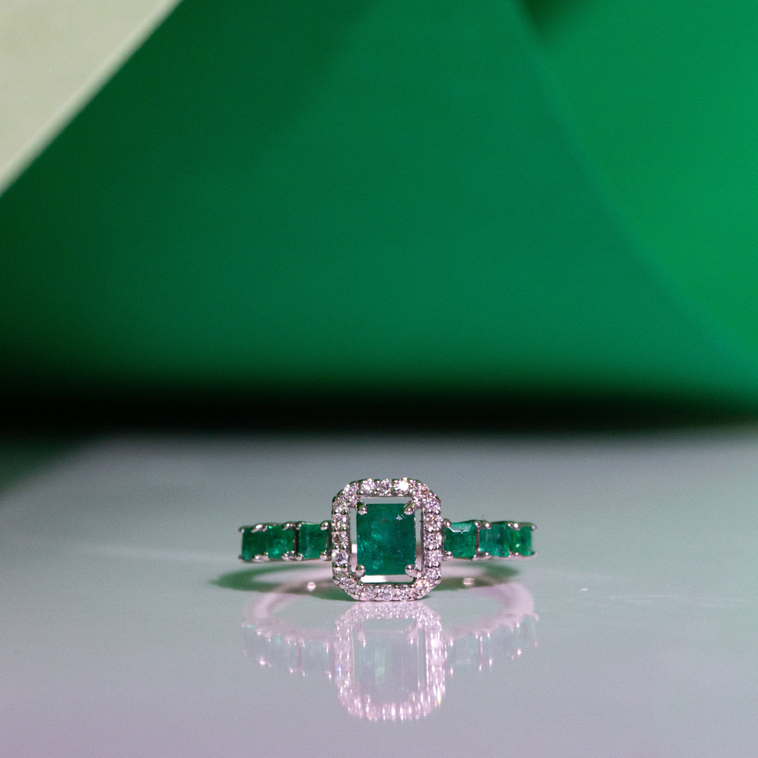 The_Diamond_box_South_Africa