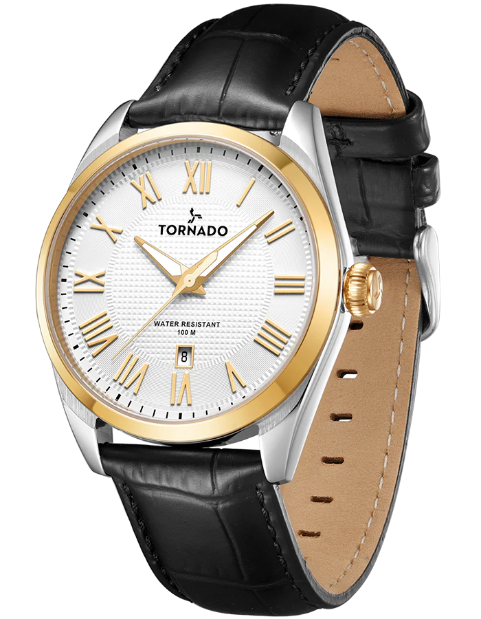 CELESTIA CLASSIC Analog Watch - T8007-SLBWG
